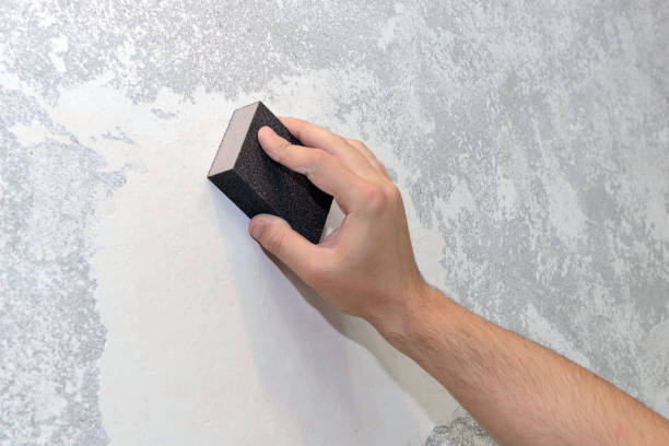 Best Basement Mold Removal  in Rupert, WV