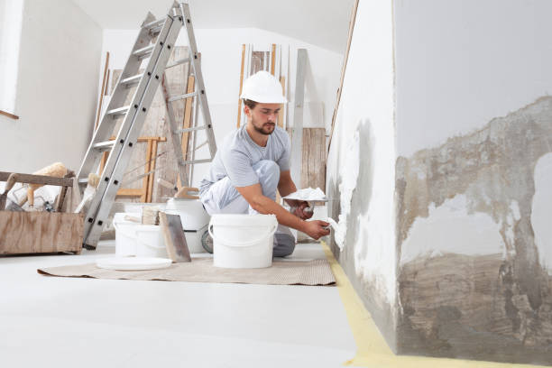 Best Asbestos and Lead Testing During Mold Inspection  in Rupert, WV