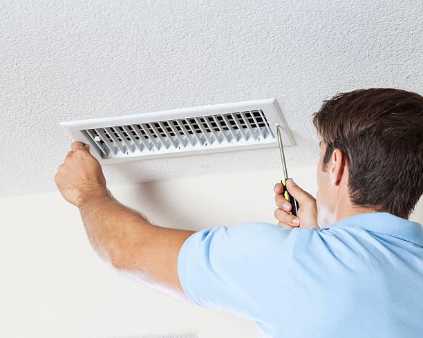 Best Emergency Mold Remediation  in Rupert, WV