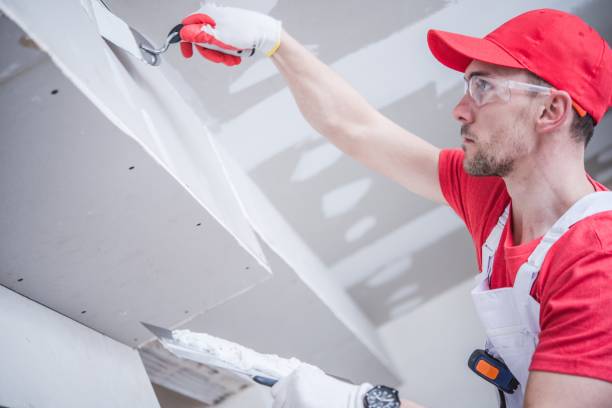 Best Mold Damage Restoration  in Rupert, WV